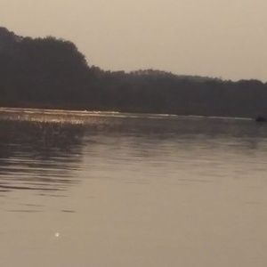 Meet your Posher, Corey